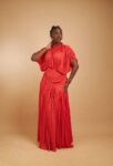 Ana Dress (3)