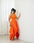 Aviva Dress 1