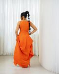Aviva Dress 1