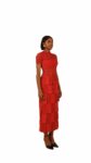Merri Dress 1