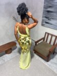Disco Dress new1