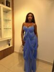 The Ako Dress 1