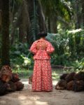 Awede Dress 1