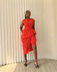 Fey Dress 3